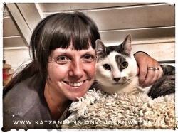 Betreuung Ihrer Katze Im Urlaub in ihrer Region Wildau - IMG 7178 min - TIERHEIM in der NÄHE - TIERPENSION - KATZENBETREUUNG - KATZENHOTEL - TIERHEIM in MEINER NÄHE - KATZENSITTER